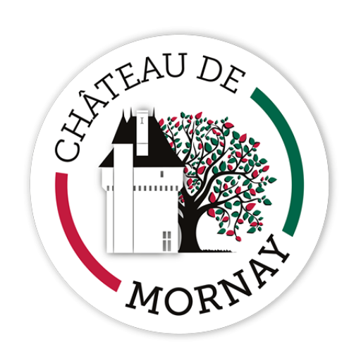 Chateau de Mornay 17